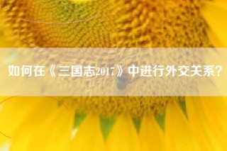 如何在《三国志2017》中进行外交关系？