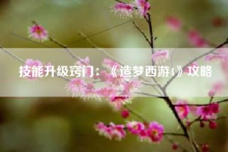 技能升级窍门：《造梦西游4》攻略