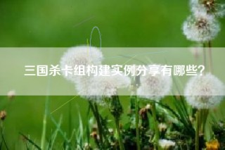 三国杀卡组构建实例分享有哪些？