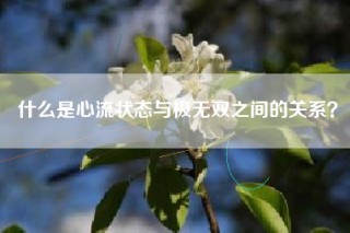 什么是心流状态与极无双之间的关系？