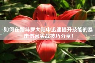 如何在新斗罗大陆中迅速提升技能的暴击伤害实战技巧分享！