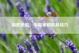 制胜绝招：中国象棋胜局技巧