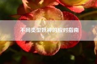 不同类型妖神的应对指南