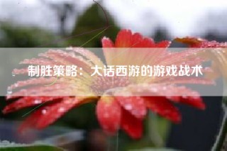 制胜策略：大话西游的游戏战术