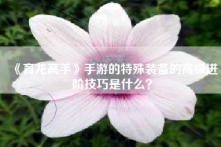 《育龙高手》手游的特殊装备的高级进阶技巧是什么？