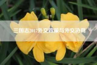 三国志2017外交政策与外交协商
