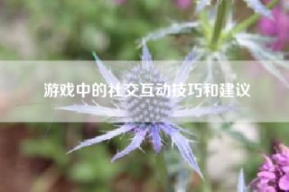 游戏中的社交互动技巧和建议