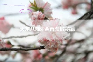 天龙八部SF金币获取秘籍