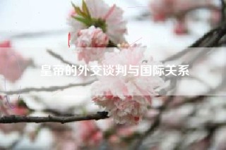 皇帝的外交谈判与国际关系