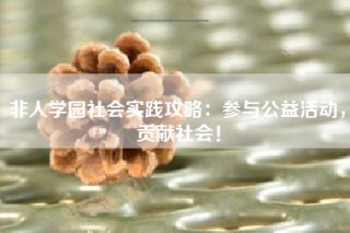 非人学园社会实践攻略：参与公益活动，贡献社会！