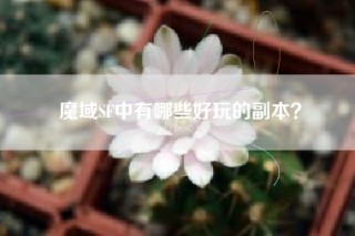 魔域SF中有哪些好玩的副本？