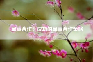 军事合作：成功的军事合作策略