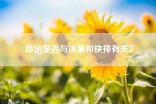 命运是否与决策和抉择有关？