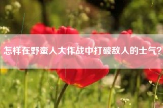 怎样在野蛮人大作战中打破敌人的士气？