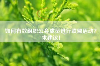 如何有效组织公会成员进行联盟活动？求建议！