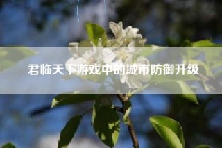 君临天下游戏中的城市防御升级