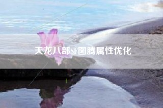 天龙八部SF图腾属性优化