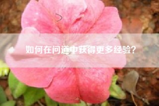 如何在问道中获得更多经验？