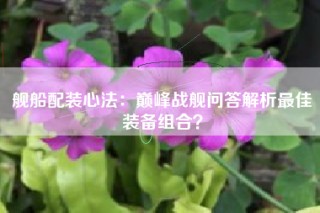 舰船配装心法：巅峰战舰问答解析最佳装备组合？