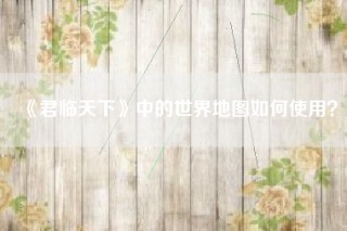 《君临天下》中的世界地图如何使用？