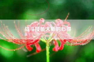 战斗技能大师的心得