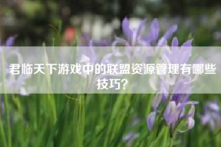 君临天下游戏中的联盟资源管理有哪些技巧？