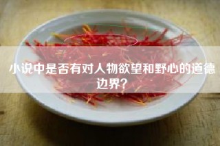 小说中是否有对人物欲望和野心的道德边界？
