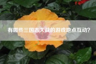 有哪些三国志大战的游戏地点互动？