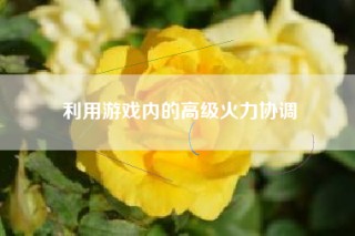 利用游戏内的高级火力协调