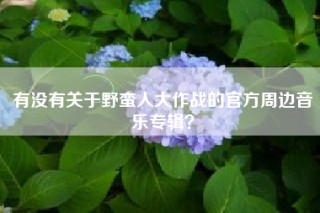 有没有关于野蛮人大作战的官方周边音乐专辑？