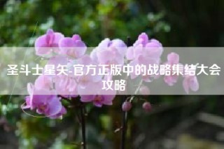 圣斗士星矢-官方正版中的战略集结大会攻略
