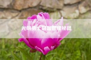 光明勇士财富管理秘籍