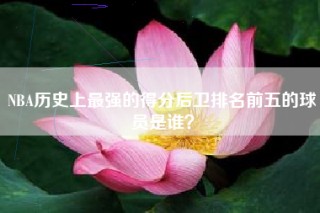 NBA历史上最强的得分后卫排名前五的球员是谁？