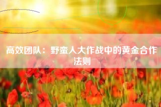 高效团队：野蛮人大作战中的黄金合作法则