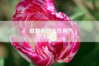 联盟有什么作用？