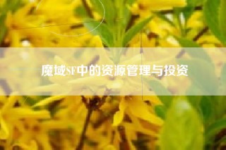 魔域SF中的资源管理与投资