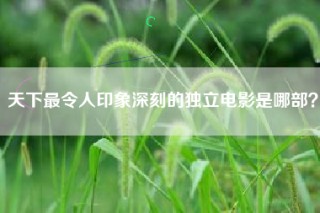 天下最令人印象深刻的独立电影是哪部？