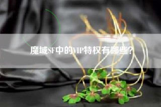 魔域SF中的VIP特权有哪些？
