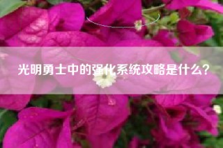 光明勇士中的强化系统攻略是什么？