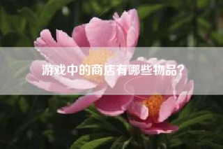 游戏中的商店有哪些物品？