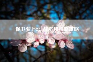 保卫萝卜2：战术和策略攻略
