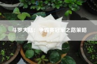斗罗大陆：争霸赛冠军之路策略
