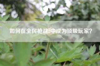 如何在全民枪战2中成为顶级玩家？