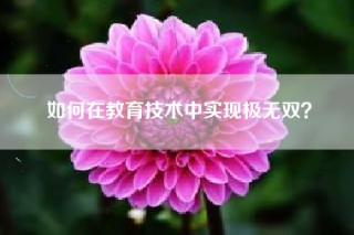 如何在教育技术中实现极无双？