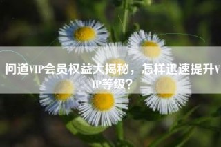 问道VIP会员权益大揭秘，怎样迅速提升VIP等级？