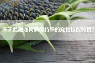 天天酷跑如何获得特殊的宠物技能秘籍？