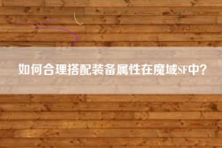 如何合理搭配装备属性在魔域SF中？