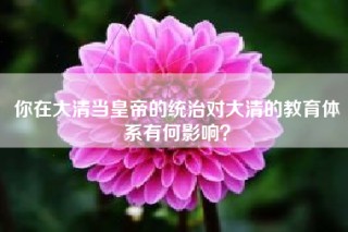 你在大清当皇帝的统治对大清的教育体系有何影响？