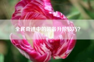 全民奇迹中的装备升阶技巧？