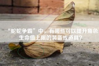 “蛇蛇争霸”中，有哪些可以提升角色生命值上限的装备或道具？